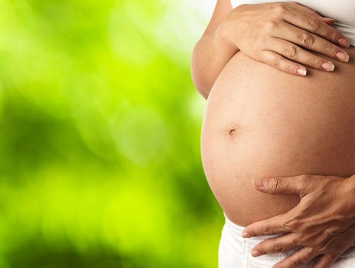 Herbs for Pregnancy, Birth & Beyond