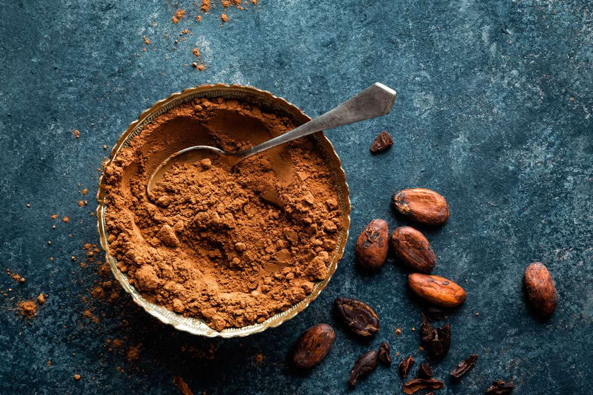Chocamine: The Highly Concentrated Extract of Cacao