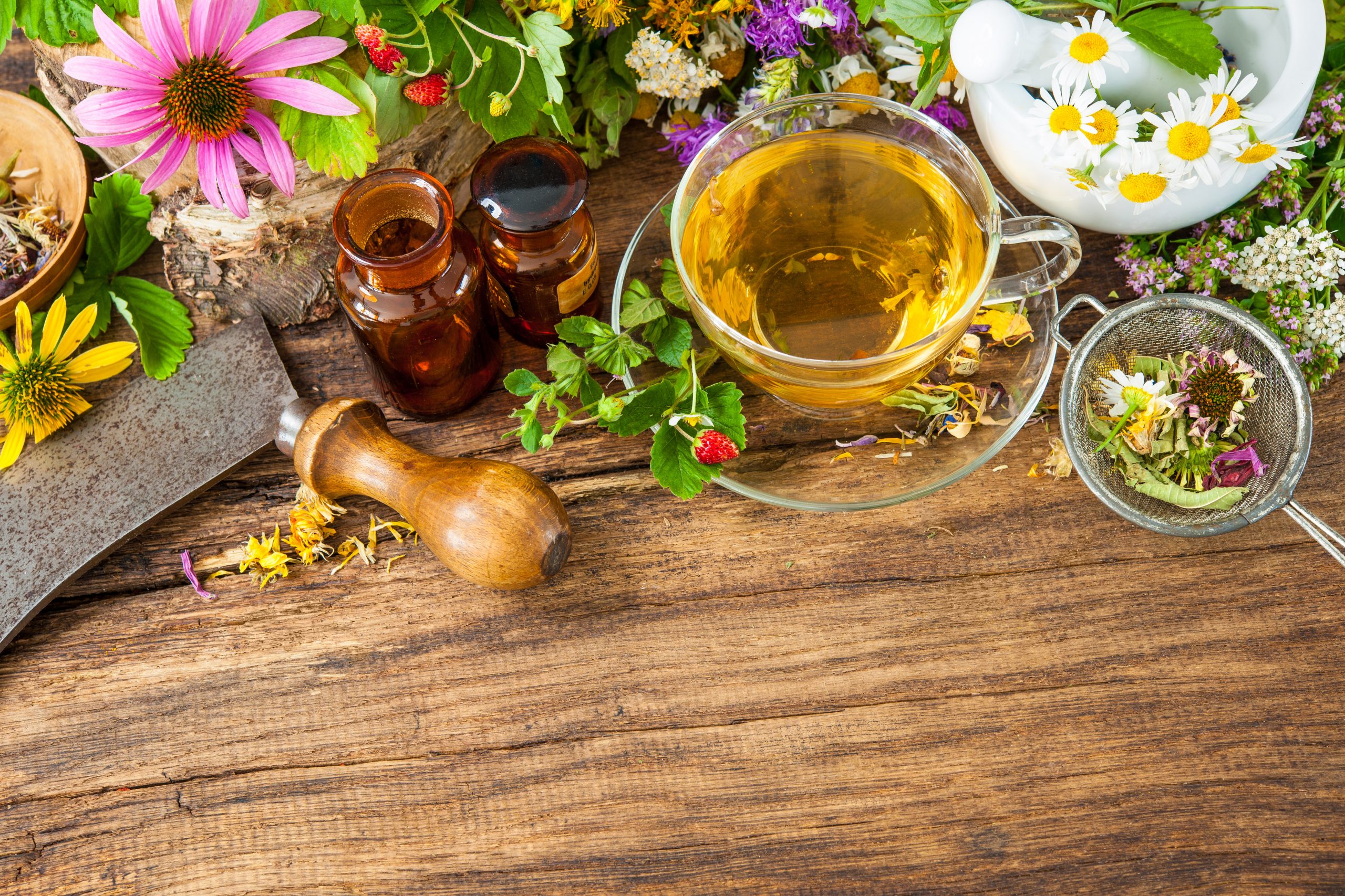 Folk Healers, Herbalism & Naturopathy Today
