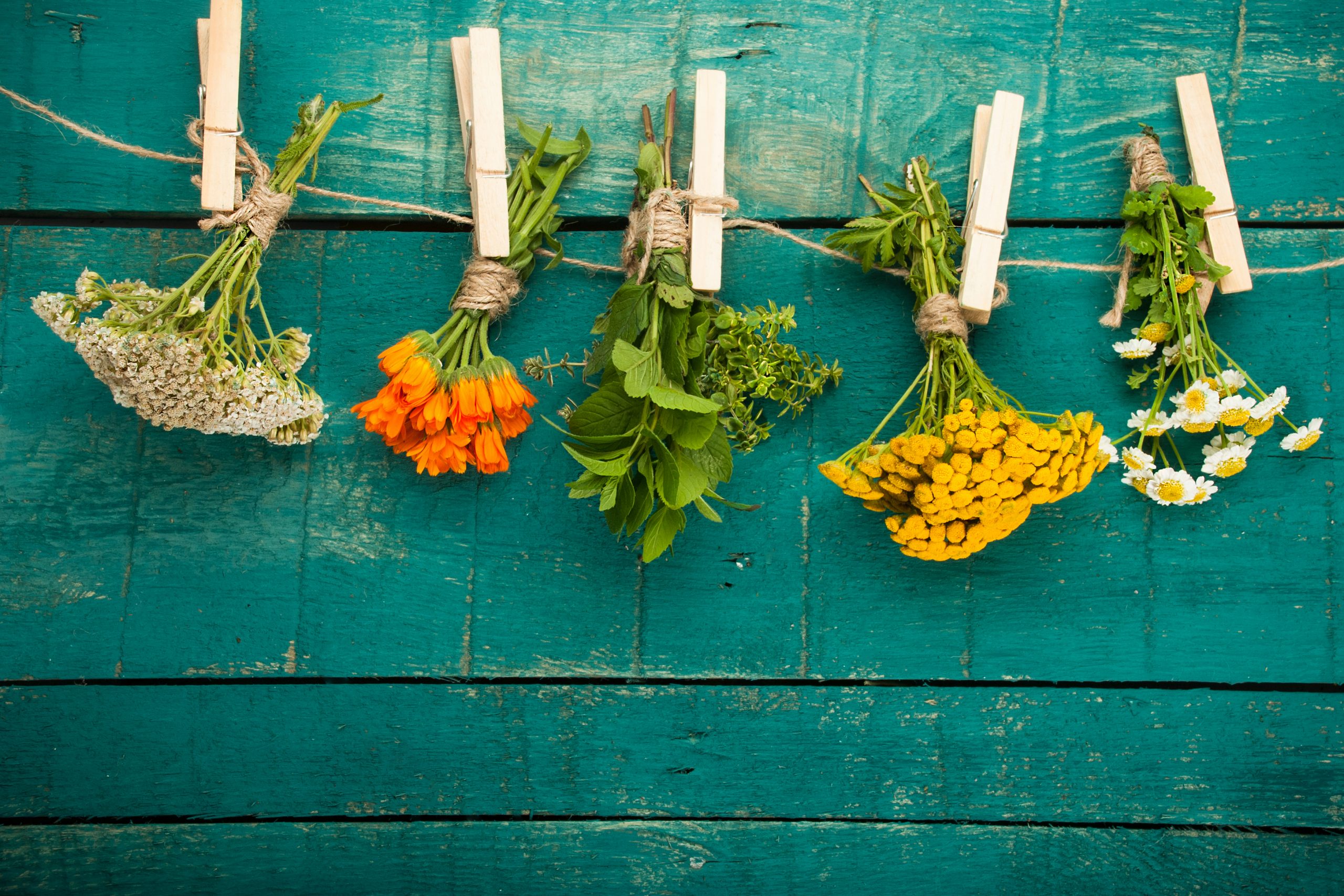 One Size Doesn’t Fit All! How to find the right herbs for you