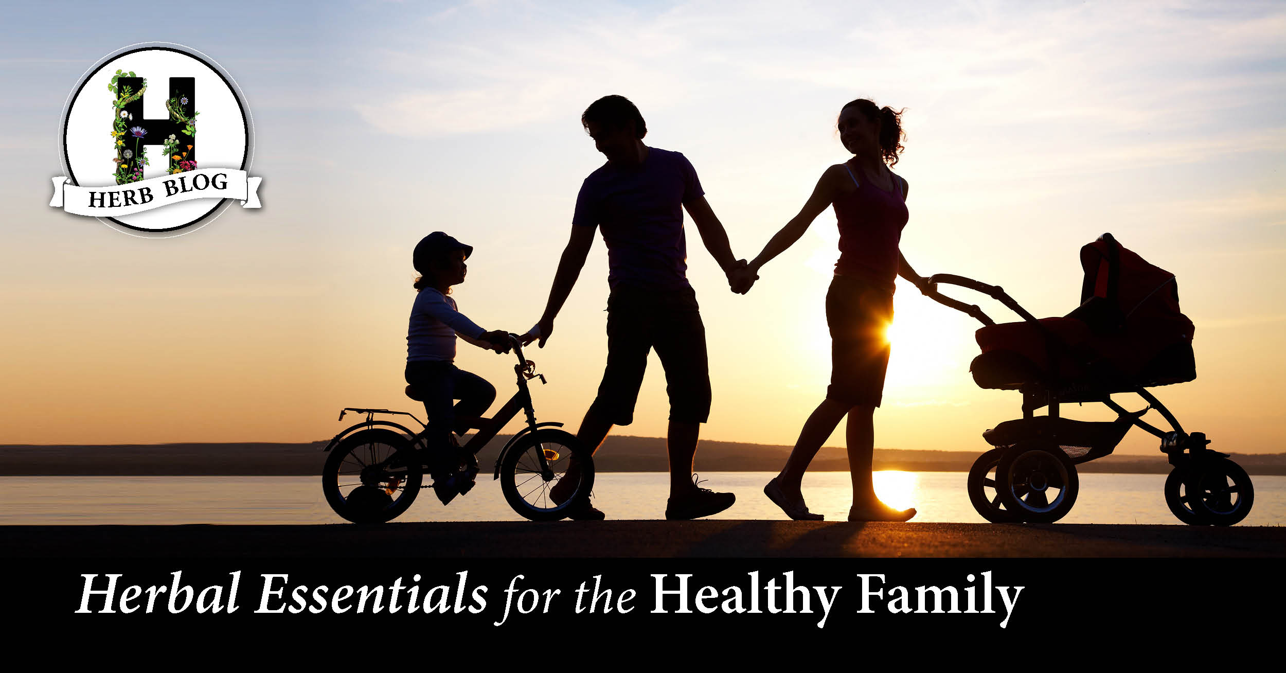 Herbal Essentials for a Healthy Family