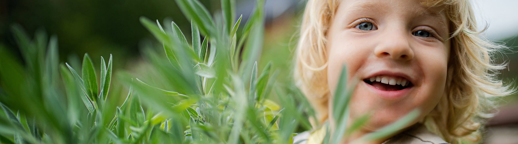 Enhancing Children’s Health with Herbs