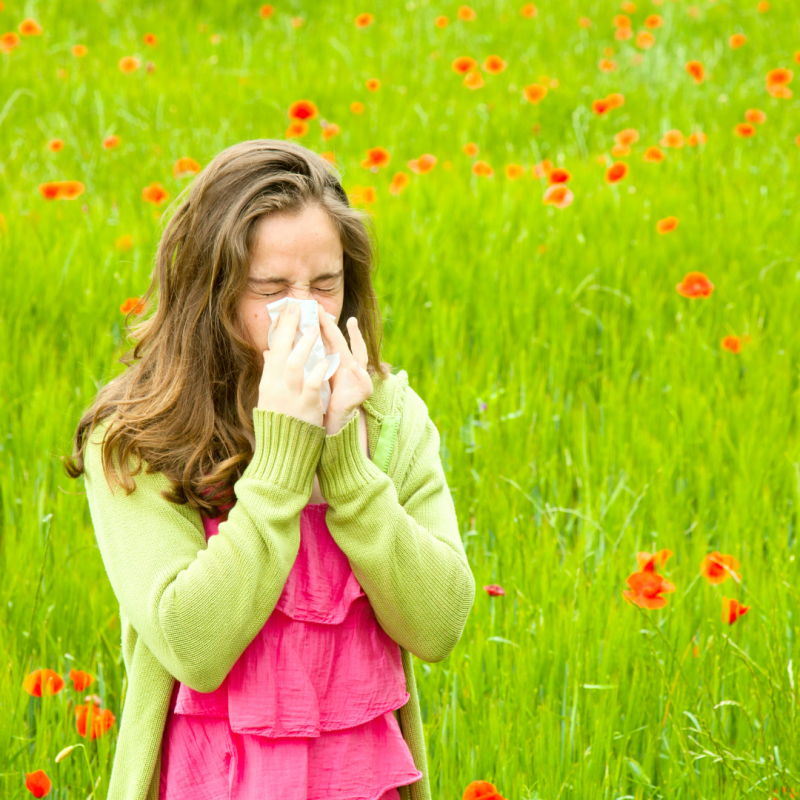 spring hay fever support herbs natural health hay fever