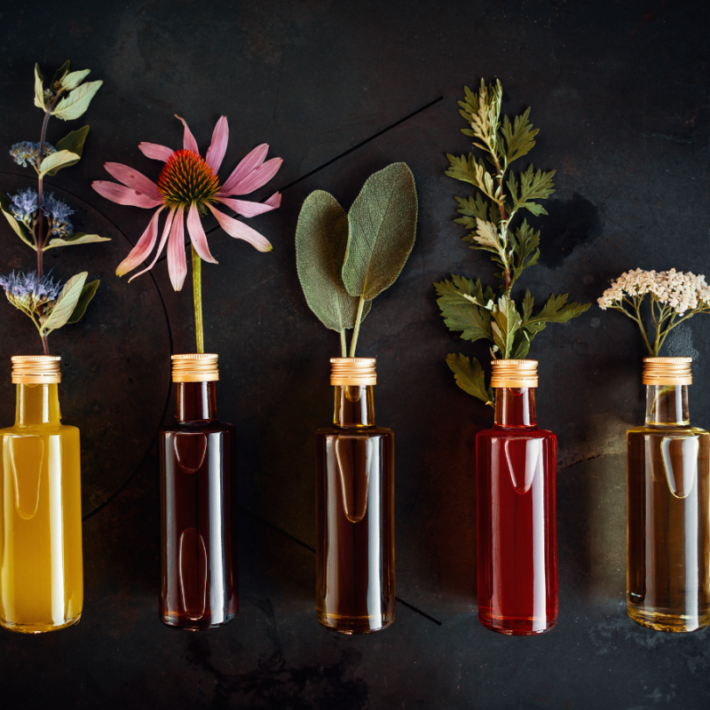 herbalism herbal creations