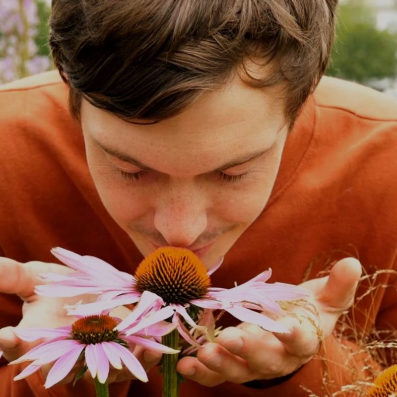 Young Man smelling Echinacea flowers